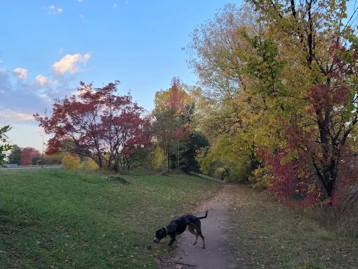 Victory Prairie Off-Leash Recreation Area 3