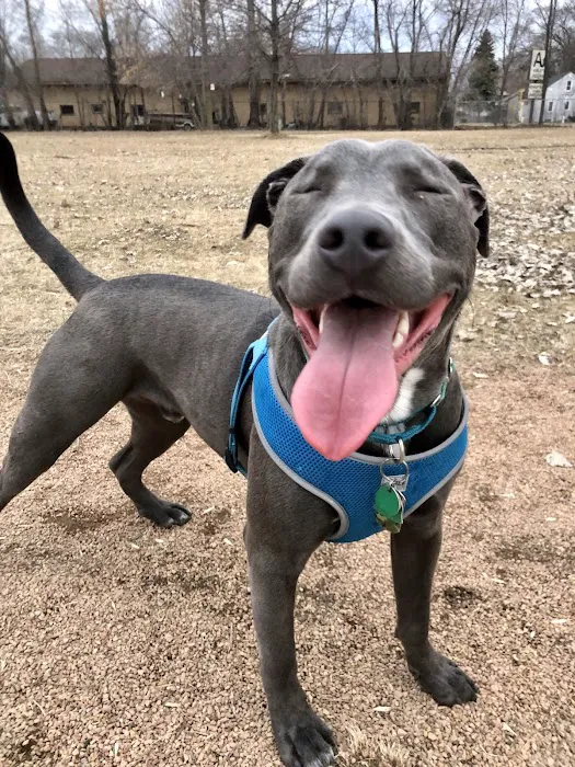 Victory Prairie Off-Leash Recreation Area 4