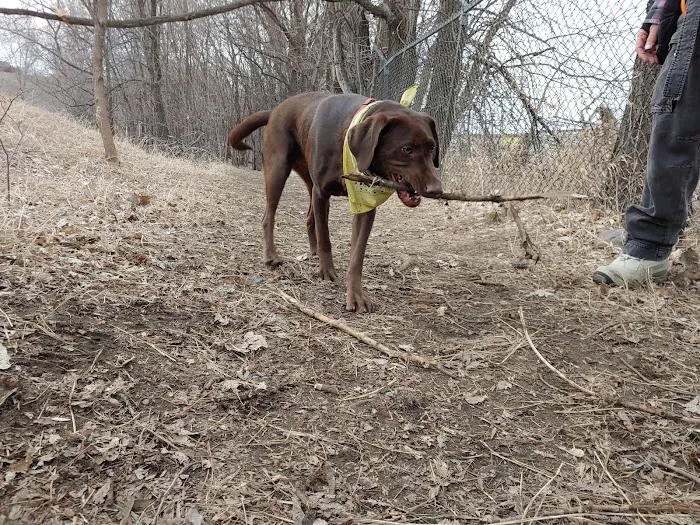 Victory Prairie Off-Leash Recreation Area 7