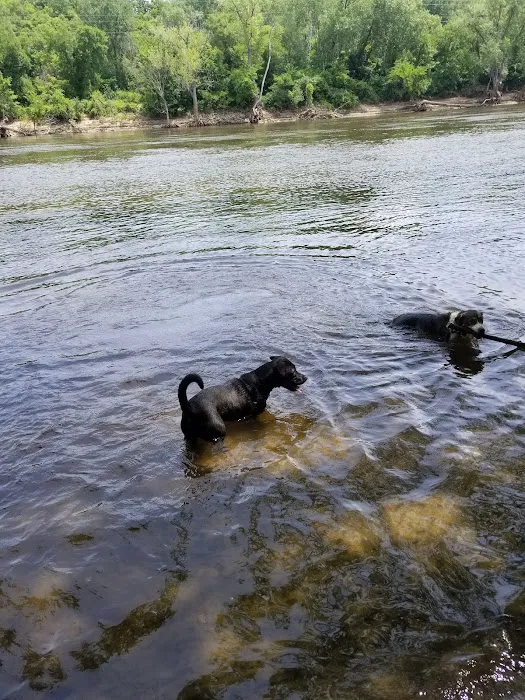 Minnehaha Dog Park 3