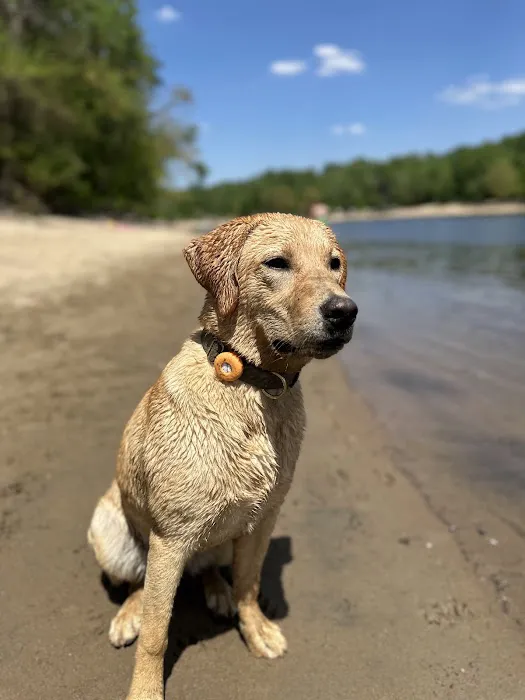 Minnehaha Off Leash Area 1