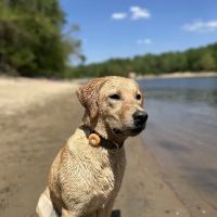 Minnehaha Off Leash Area ico