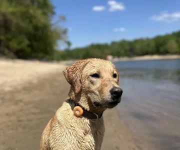 Minnehaha Off Leash Area