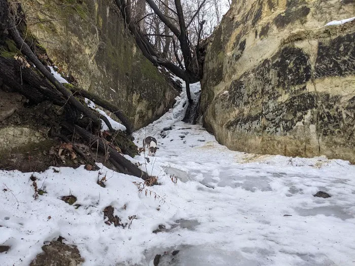 Minnehaha Off Leash Area 5
