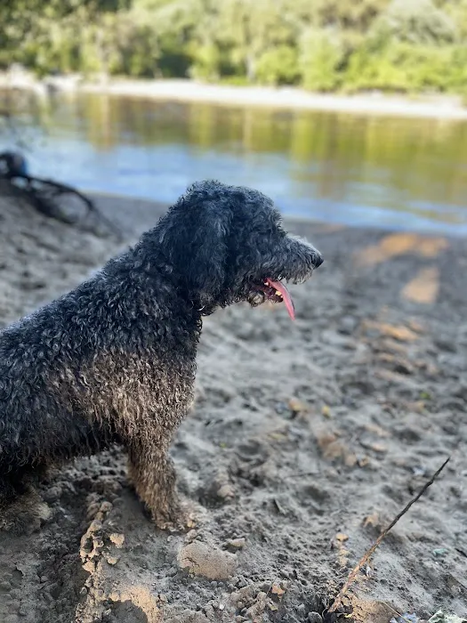 Minnehaha Off Leash Area 8