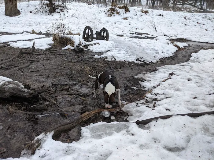 Minnehaha Off Leash Area 7