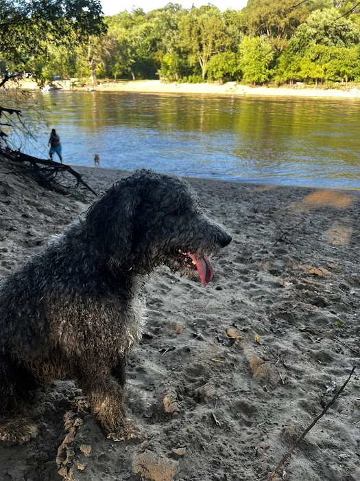 Minnehaha Off Leash Area 2