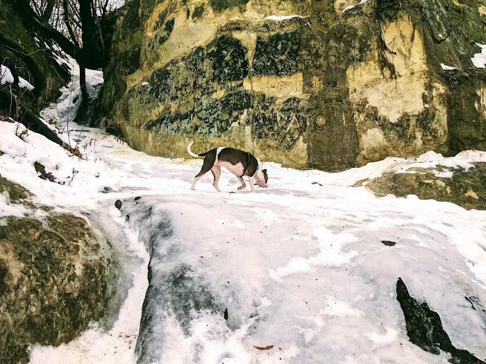 Minnehaha Off Leash Area 6
