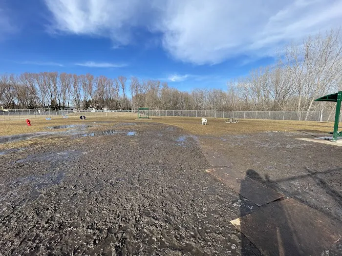 Perry Dog Park 3