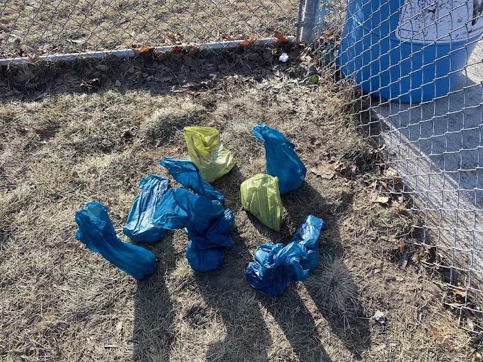 Perry Dog Park 2