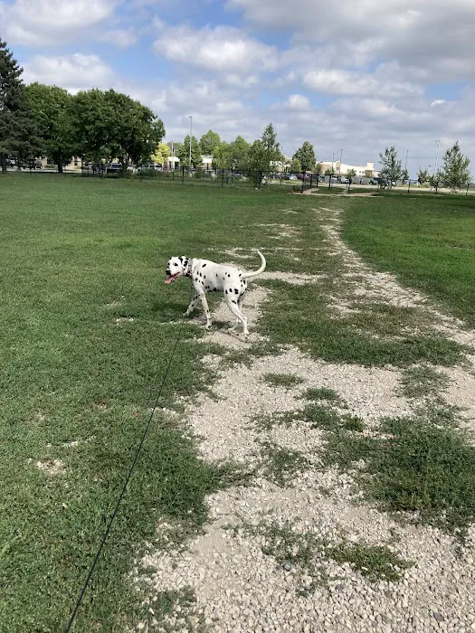 Airport Dog Park 1 9