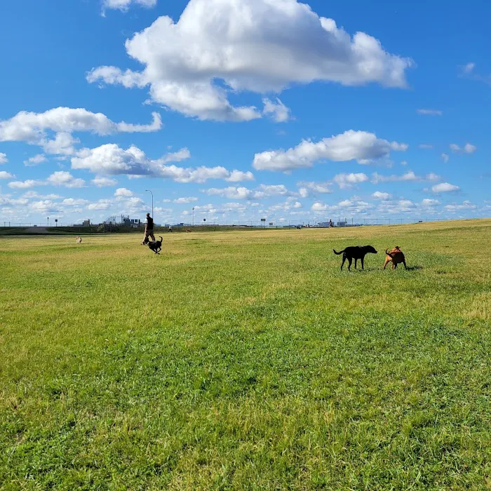 Airport Dog Park 1 2