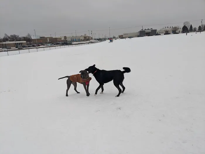 Airport Dog Park 1 6