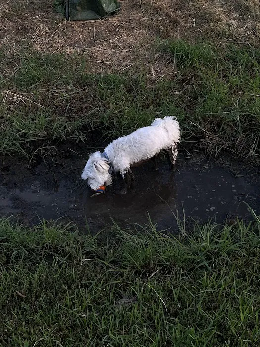 Airport Dog Park 1 10