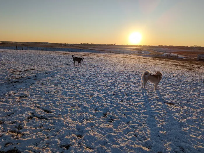 Airport Dog Park 1 8
