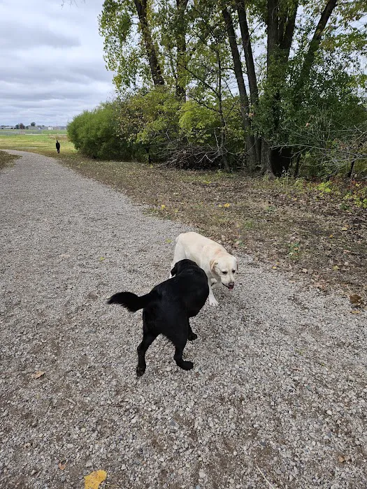 Airport Dog Park 1 7