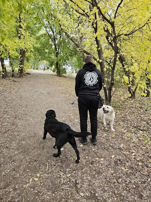Airport Dog Park 1 4