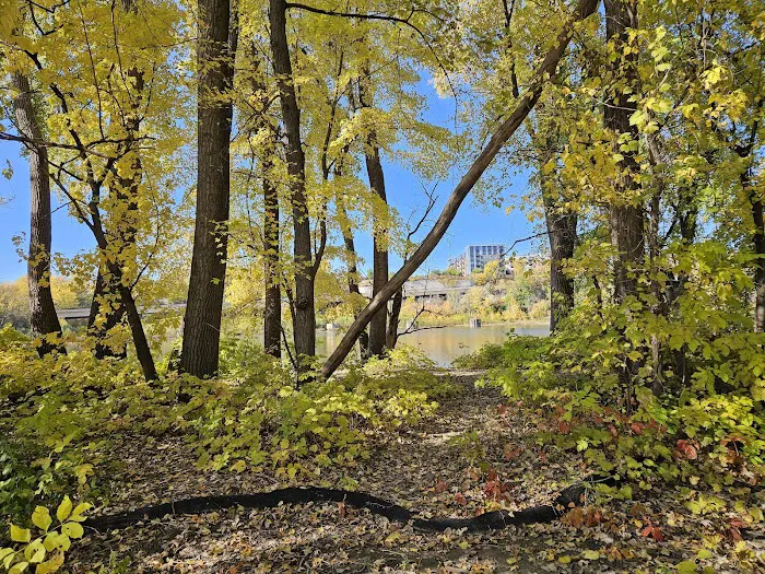 Lilydale Off-Leash Dog Park 9