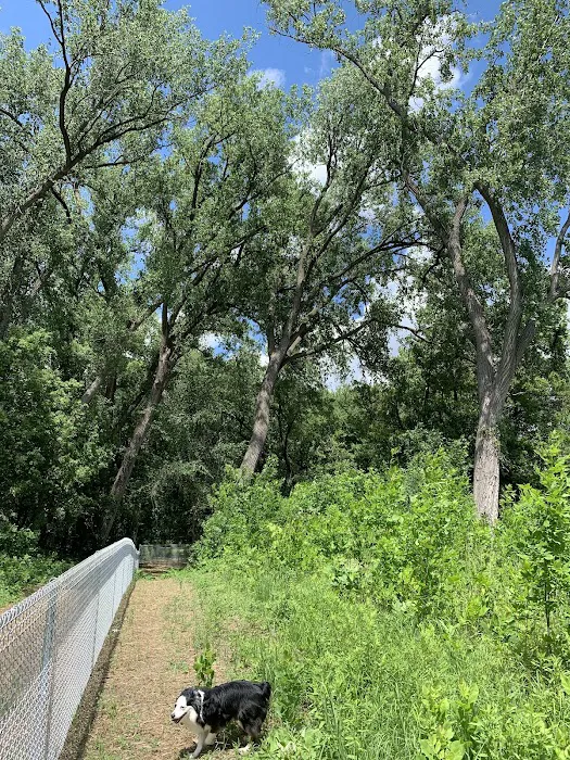 Lilydale Off-Leash Dog Park 4