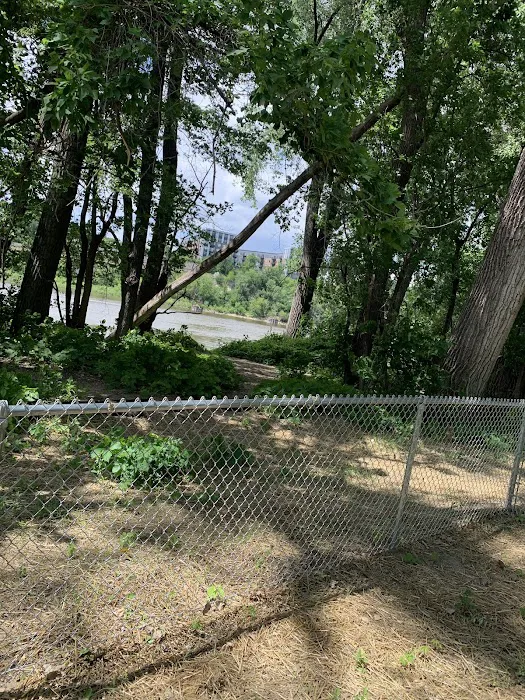 Lilydale Off-Leash Dog Park 3