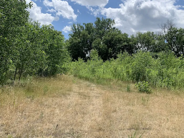 Lilydale Off-Leash Dog Park 8