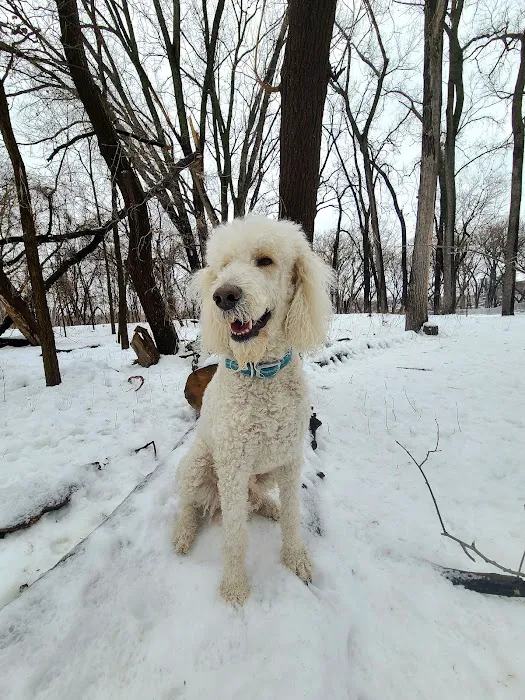 Lilydale Off-Leash Dog Park 1