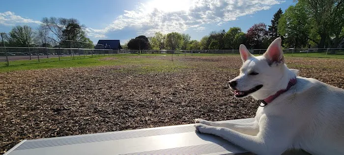 Off-Leash Dog Area 1