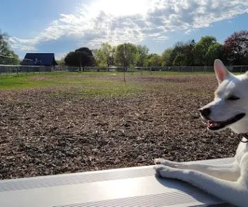 Off-Leash Dog Area