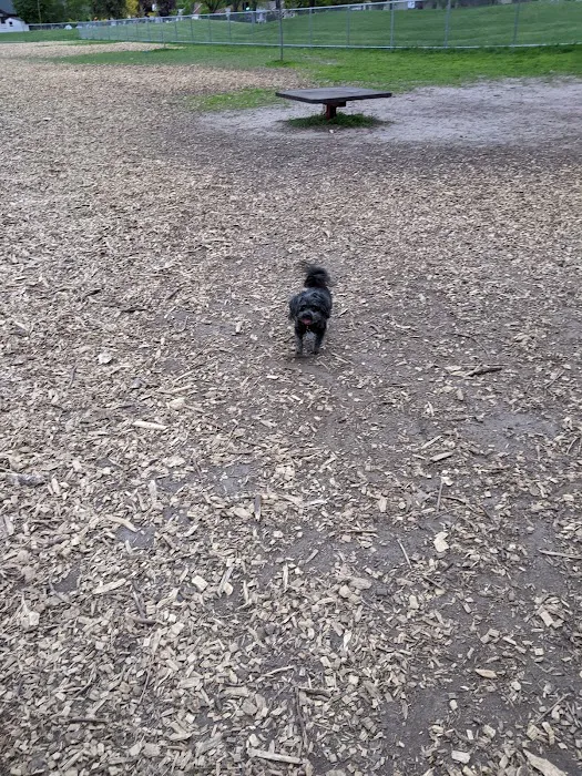 Off-Leash Dog Area 2