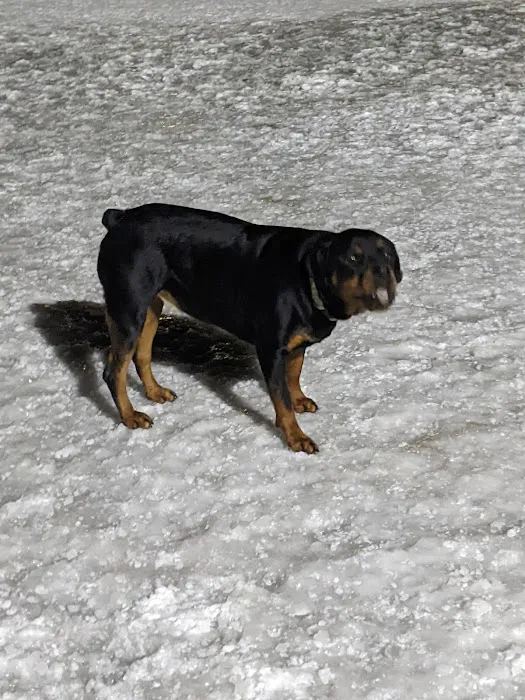 Off-Leash Dog Area 8