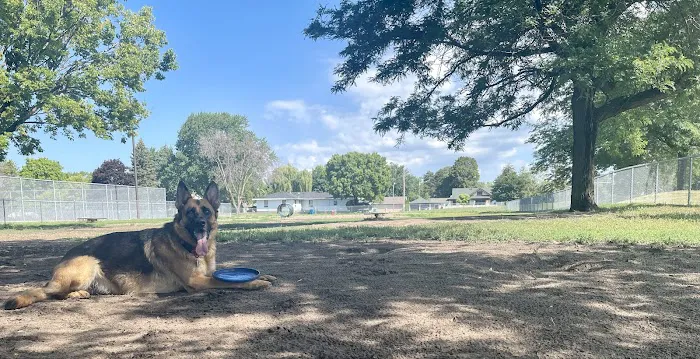 Off-Leash Dog Area 10