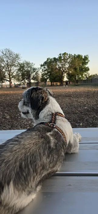 Off-Leash Dog Area 9