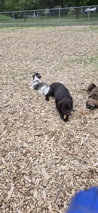 Off-Leash Dog Area 6