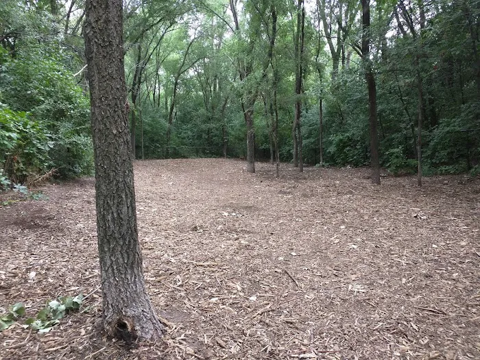 Woodview Off-Leash Dog Area 10