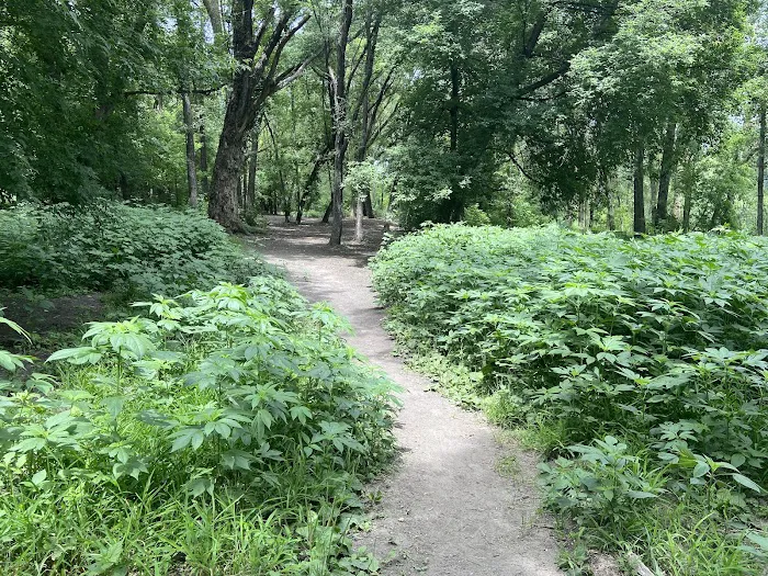 Woodview Off-Leash Dog Area 6