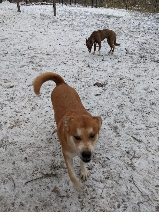 Woodview Off-Leash Dog Area 4