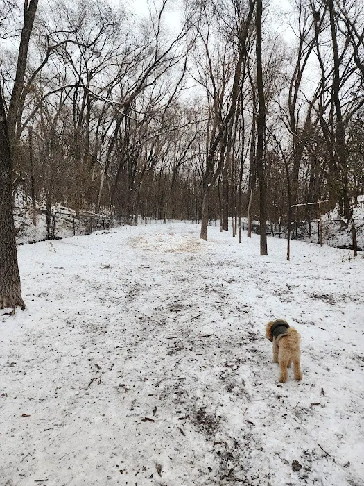 Woodview Off-Leash Dog Area 1