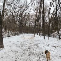 Woodview Off-Leash Dog Area ico