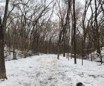 Woodview Off-Leash Dog Area