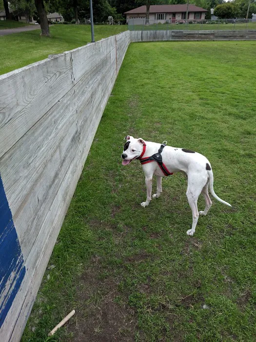 Lions Park with Dog Park 8