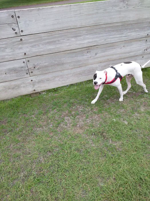 Lions Park with Dog Park 7