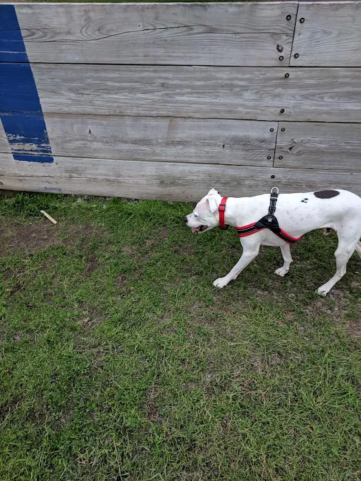 Lions Park with Dog Park 10