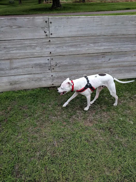 Lions Park with Dog Park 9