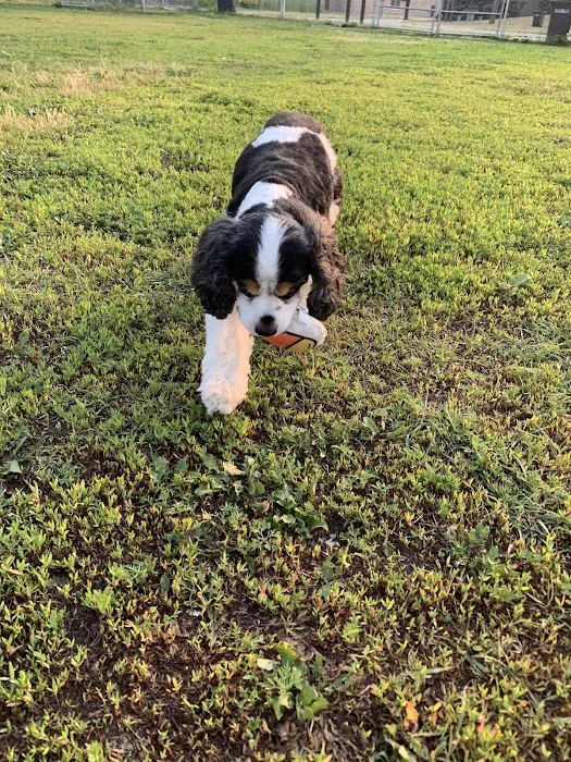 4 Paws Dog Park 1