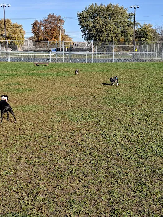 4 Paws Dog Park 9
