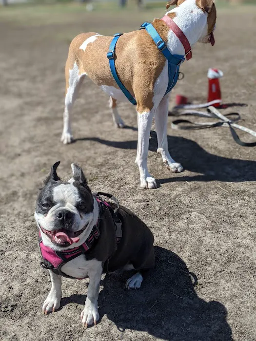 4 Paws Dog Park 7