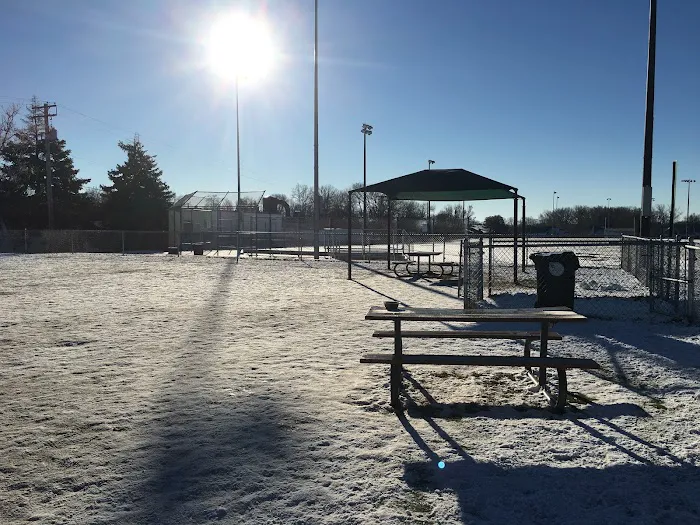 4 Paws Dog Park 8