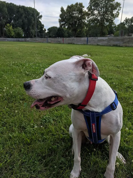 Liberty Park with Dog Park 5