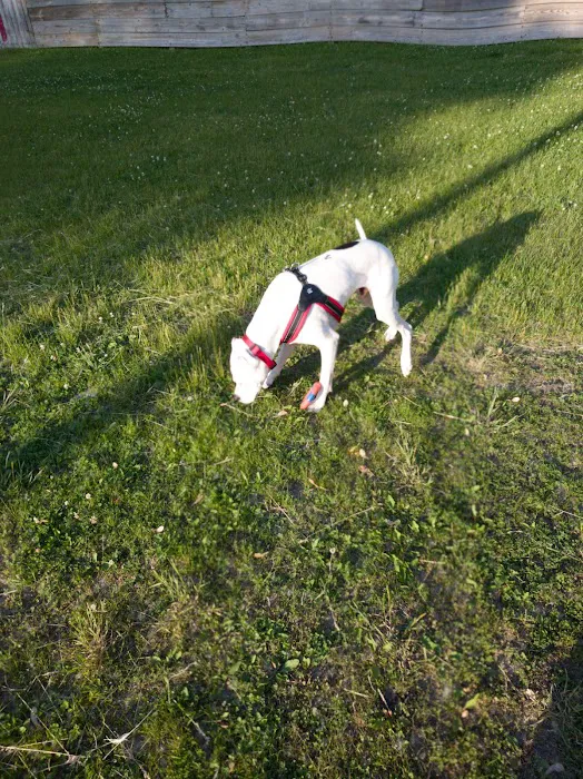 Liberty Park with Dog Park 6