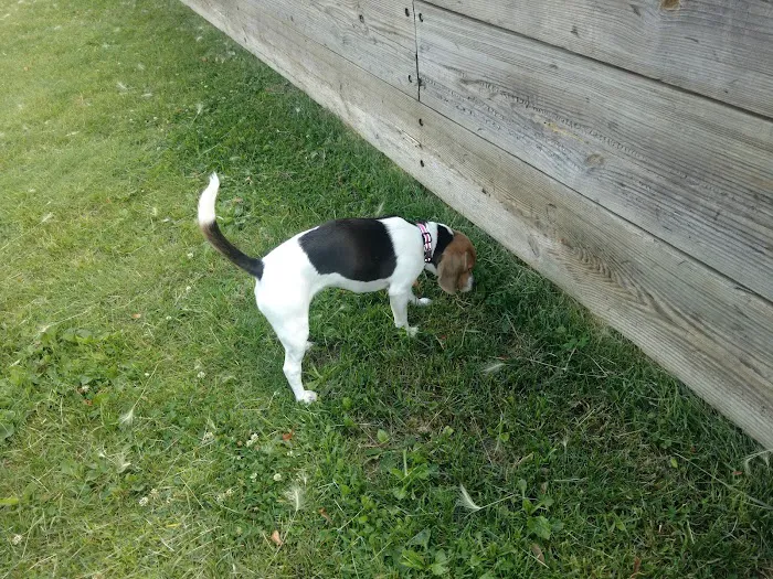 Liberty Park with Dog Park 10